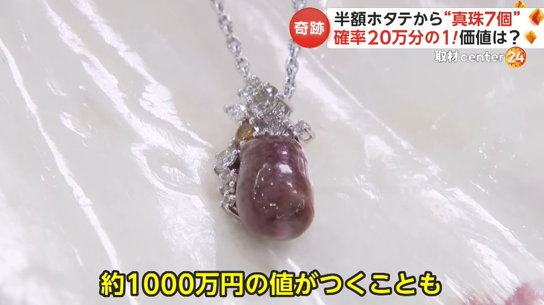 日本一乡民半价买扇贝，拿回家竟开出7颗天然珍珠，网友看完惊掉下巴…（组图） - 17