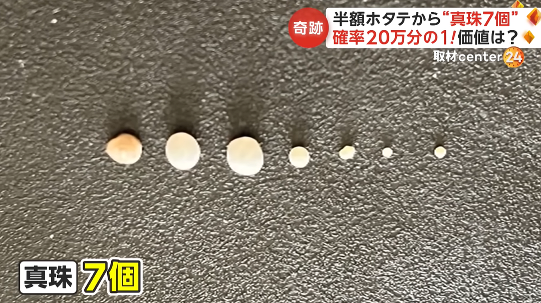日本一乡民半价买扇贝，拿回家竟开出7颗天然珍珠，网友看完惊掉下巴…（组图） - 8