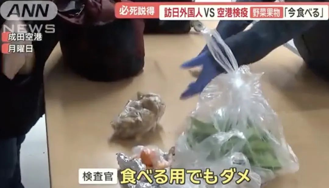 多名中国旅客携带水果，肉制品入境日本！大妈不舍丢弃，想当场吃橘子，被检疫人员扣下（组图） - 3