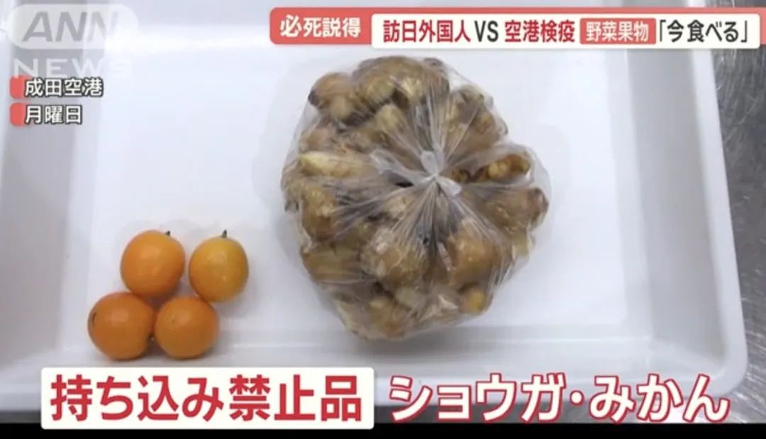 多名中国旅客携带水果，肉制品入境日本！大妈不舍丢弃，想当场吃橘子，被检疫人员扣下（组图） - 5