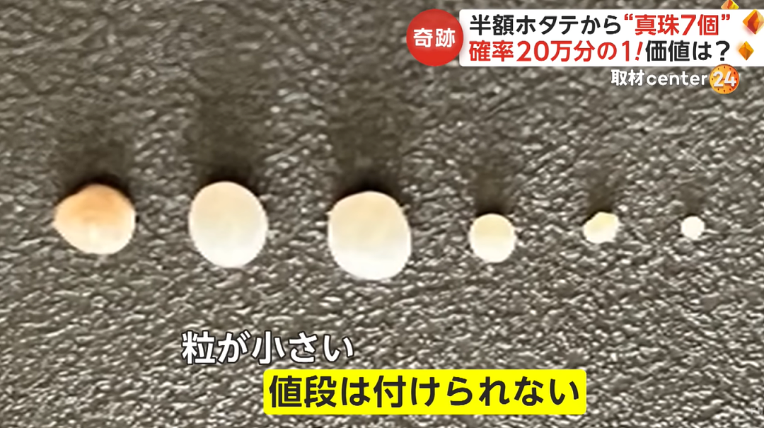 日本一乡民半价买扇贝，拿回家竟开出7颗天然珍珠，网友看完惊掉下巴…（组图） - 21