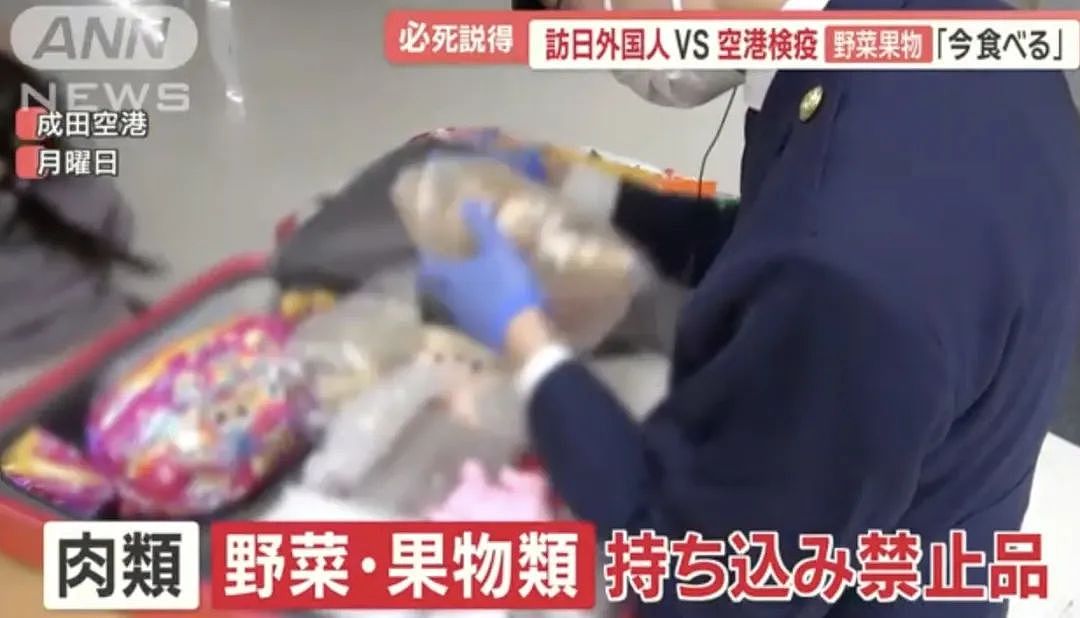 多名中国旅客携带水果，肉制品入境日本！大妈不舍丢弃，想当场吃橘子，被检疫人员扣下（组图） - 4