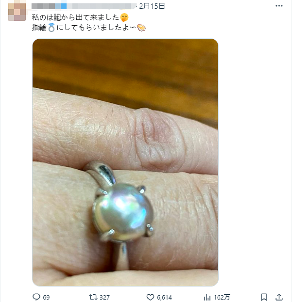 日本一乡民半价买扇贝，拿回家竟开出7颗天然珍珠，网友看完惊掉下巴…（组图） - 15