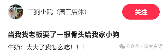 【爆笑】“有个不扫兴的父母是什么体验？”啊啊啊啊啊啊好让人羡慕的家庭氛围（组图） - 54