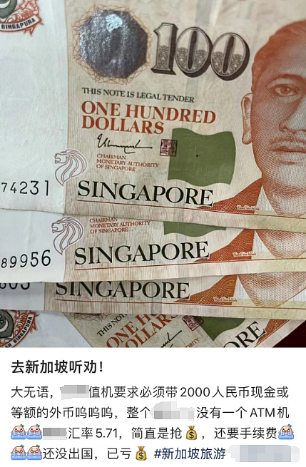 中国姑娘去新加坡旅游，竟因没带钱被拒登机（组图） - 4