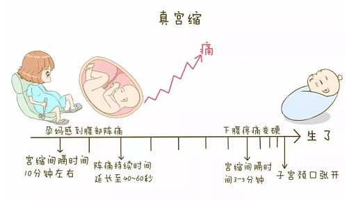 太过分了！悉尼孕妈开车时突发情况，紧急靠边停车被罚$306...（组图） - 1