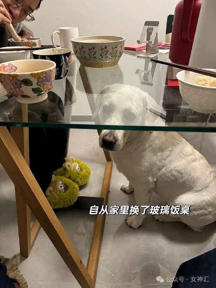 【爆笑】“这是P图还是换头？”网红P图细节意外流出，网友吓哭：太离谱！（组图） - 12