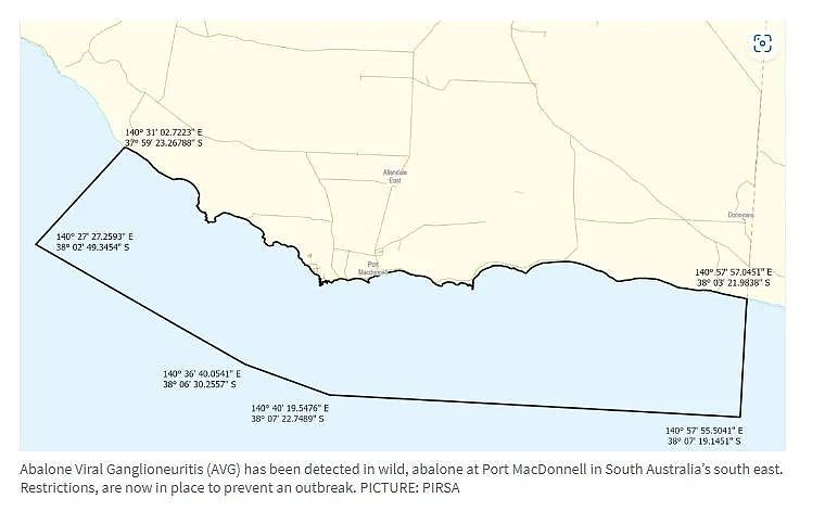 南澳爆发AVG鲍鱼病毒，这些地区实施禁渔令（组图） - 2