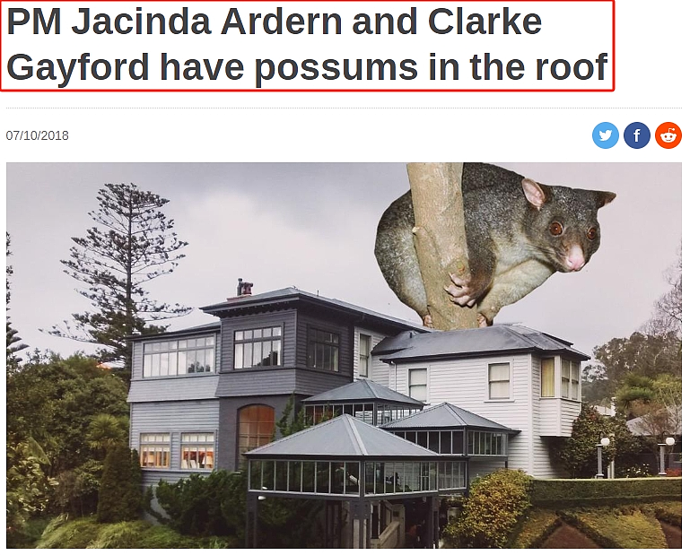 澳媒曝：新西兰总理的豪宅竟“无法住人”，下雨天还漏雨，光鲜背后都是泪…（组图） - 25