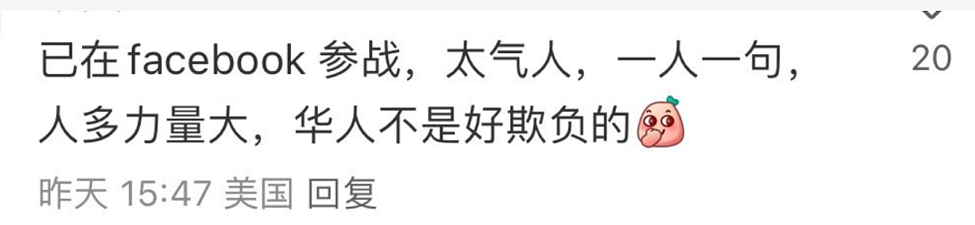 闹大了！女子在唐人街餐馆狂骂针对华人的词，网友跨国帮怼，结果...（组图） - 11