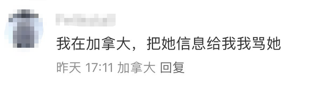 闹大了！女子在唐人街餐馆狂骂针对华人的词，网友跨国帮怼，结果...（组图） - 9