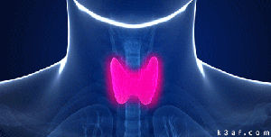 一家三口患上甲状腺癌，出现6个信号别大意了（组图） - 4