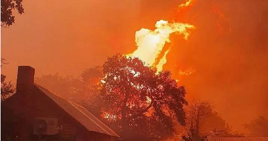 澳洲森林大火3万人撤离！当局：有灾难性危险（组图） - 2
