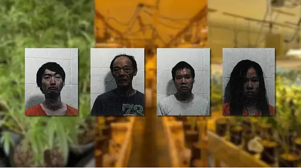 四名华人被捕，警长：四人的保释均被拒绝面临遣返（组图） - 1