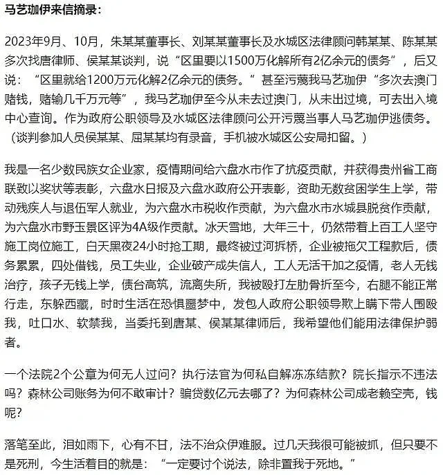 六盘水火了！“以刑抵债”或牵连整个贵州，政府工程成拖欠重灾区（组图） - 6