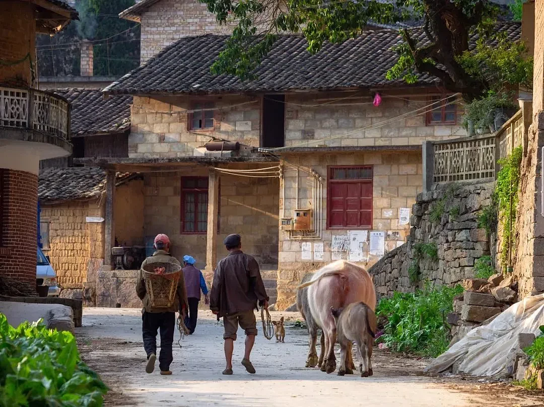 那些逃离大城市的年轻人，正在遭受暴击（组图） - 7