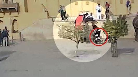旅游骑象风险不容小觑：俄罗斯游客被抓住，飞旋后重摔在地（视频/组图） - 1