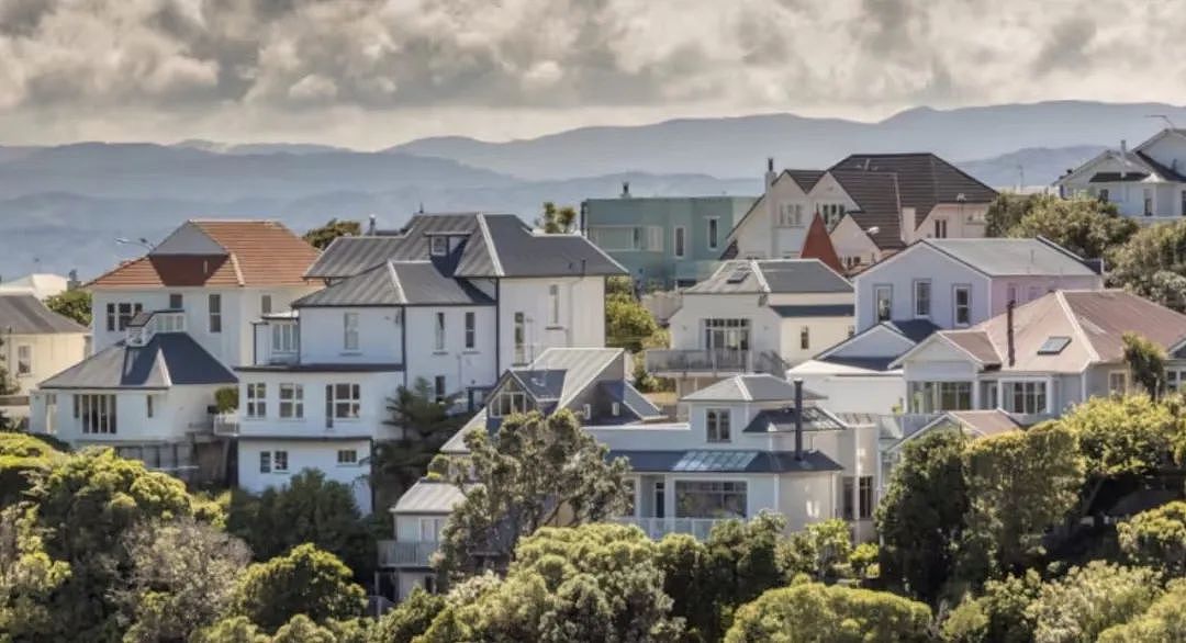供应水平八年最高！新西兰全国房屋售价开涨，吃的起了，价格下跌，这个产品大丰收（组图） - 4