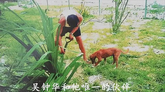 中国“最孤独“大使 唯一伙伴是狗，挖野菜改善生活（组图） - 9