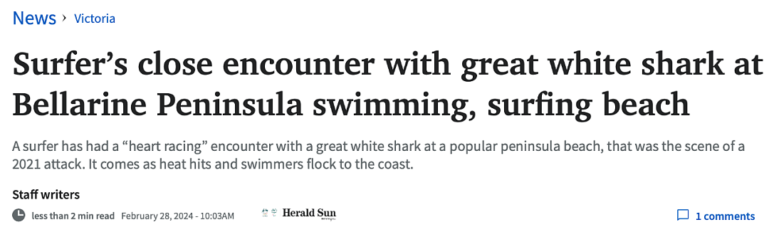 真实亲述！墨尔本小哥海里遇上鲨鱼，”我对鲨鱼充满了爱和欣赏”（组图） - 1