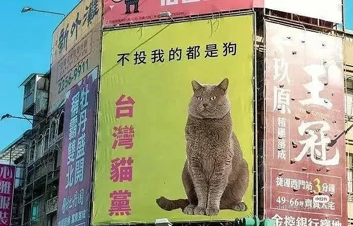 台湾街头广告的劲爆程度，十个杜蕾斯也追不上…（组图） - 10