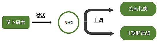 ​【时尚】想在春天悄悄变美，这几个好物值得买（组图） - 29