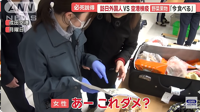中国妈妈给儿子带一箱吃的入境日本被查，竟想现场开吃，还邀海关一起？（组图） - 7
