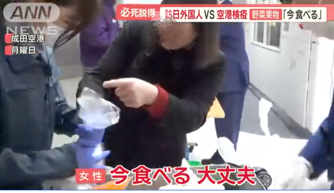 中国妈妈给儿子带一箱吃的入境日本被查，竟想现场开吃，还邀海关一起？（组图） - 6