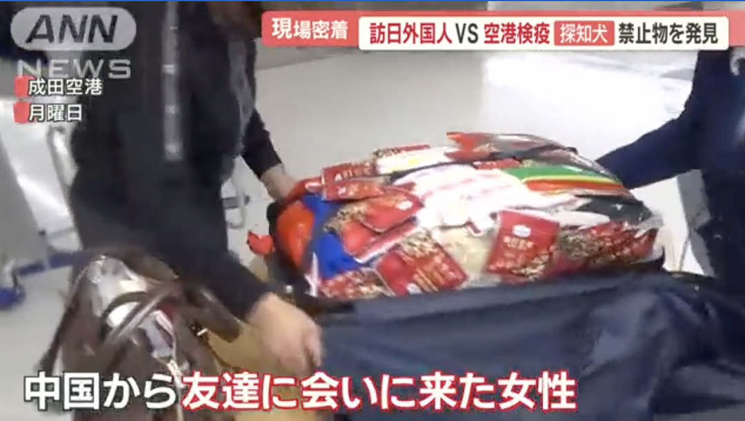 中国妈妈给儿子带一箱吃的入境日本被查，竟想现场开吃，还邀海关一起？（组图） - 12