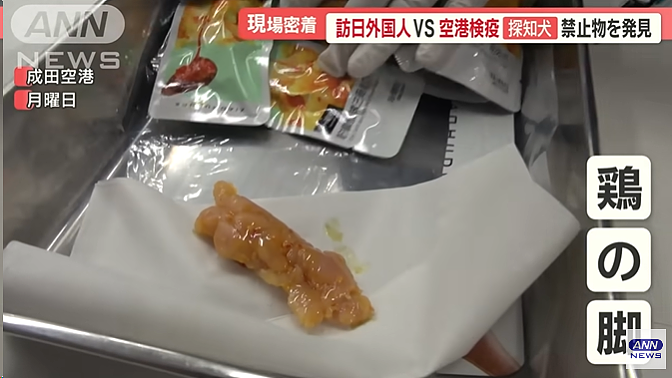 中国妈妈给儿子带一箱吃的入境日本被查，竟想现场开吃，还邀海关一起？（组图） - 13