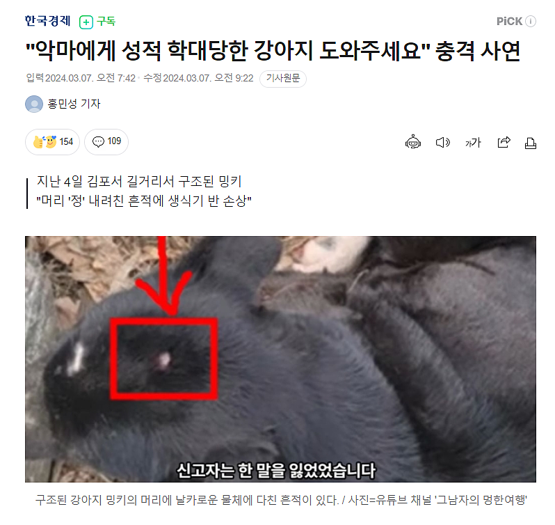 韩国发生骇人听闻动物性虐待事件！小猫小狗肛门被塞异物，眼球还被捏爆…（组图） - 1