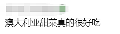 澳洲超市货架全空了！从$2炒到$66，外国博主吃它上瘾，为它发疯（组图） - 32