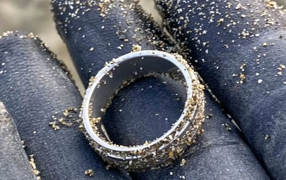 最近，很多人在新西兰海边闷声发财，金戒指捡了几十个！只需这些装备…（组图） - 10