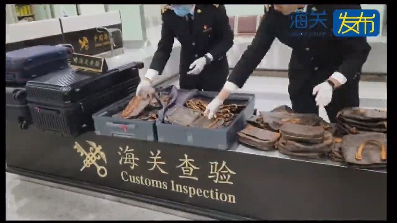 行李箱竟藏逾300个旧LV袋！福州机场入境旅客过关被截，X光机建功（组图） - 3