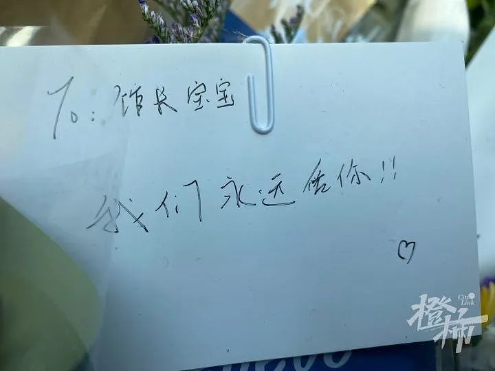 “那就好好说声再见吧！”在中国美院生活了13年的网红“喵馆长”意外离世（组图） - 5