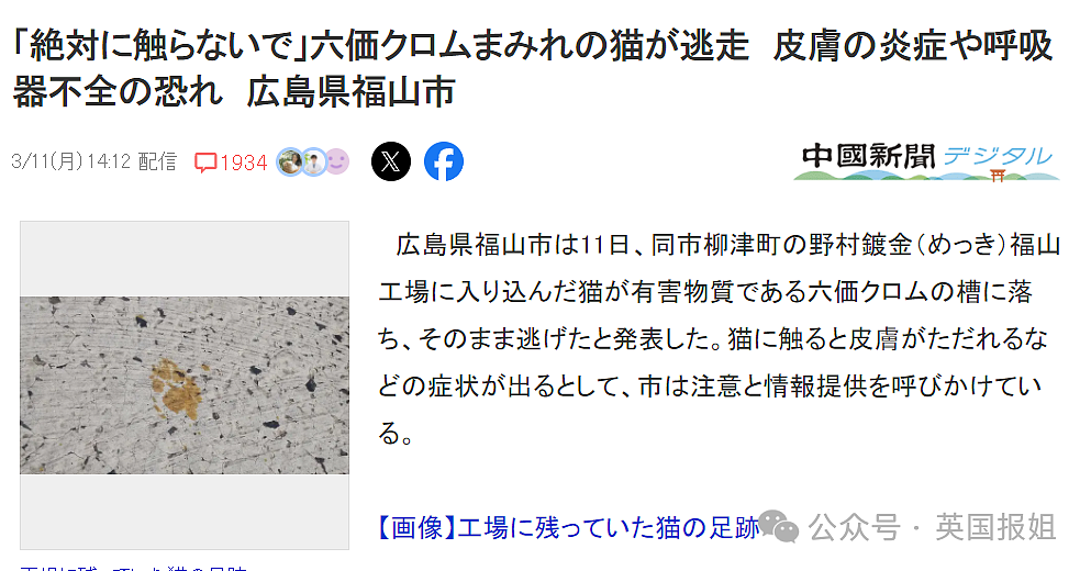 日本流浪猫误入化工池，全身沾满剧毒逃窜24小时！警方发严重警告：碰了可能得癌症和失明（组图） - 1