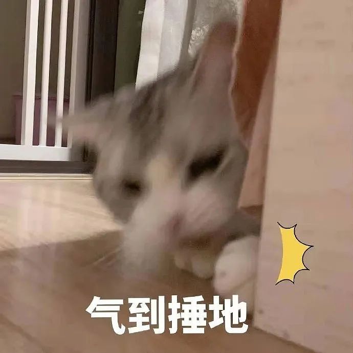 【宠物】妹纸不知猫咪打呼噜的真相，带去医院看病，竟花了6.5万元（组图） - 1