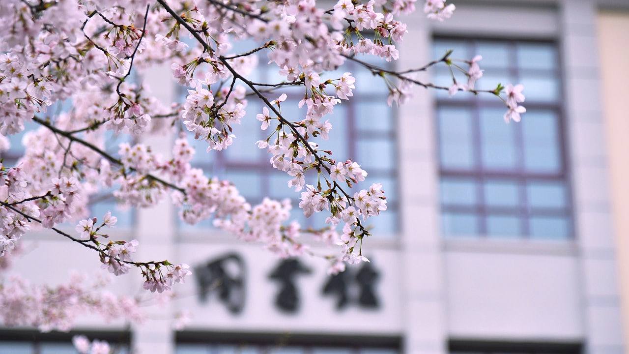 四川航空高校发布七日春假通知，鼓励学生去赏花，去恋爱（组图） - 1