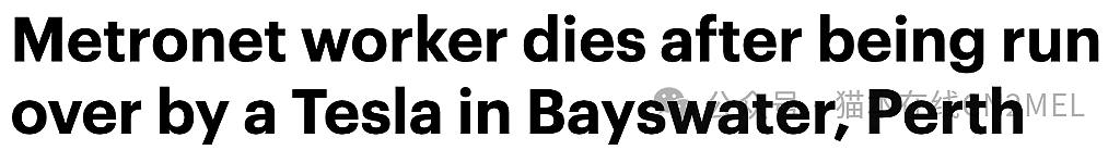 悲剧！澳tradie躺卧公园休息，竟遭特斯拉当场碾死，肇事车辆被拖走（组图） - 1