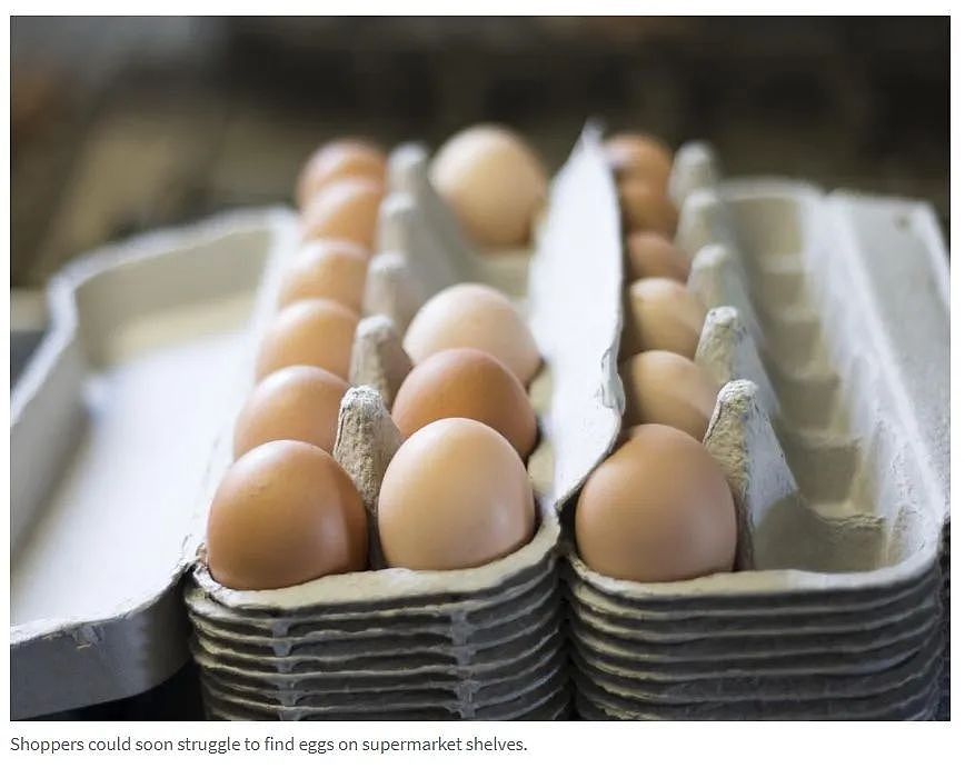 阿德中央市场33年知名商店宣布关闭！警告： 澳洲土豆鸡蛋或将供应短缺（组图） - 5