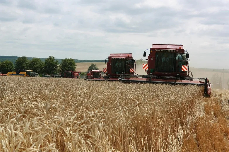 报復性撤单？美媒：中国连续3天取消购买美国小麦，累计50.4万吨（组图） - 1