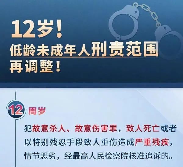 河北3名初中生杀人埋尸，次日面不改色去学校上课！被害学生面部被敲烂，案件更多细节曝光（组图） - 16