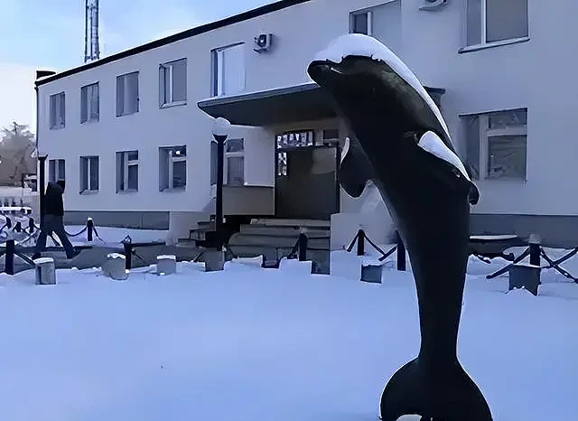 食人魔在里面都变乖了？俄罗斯的黑海豚监狱，进去就别想活着出去（组图） - 5