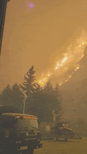 四川甘孜森林大火，火势汹汹，浓烟滚滚遮蔽现场（视频/组图） - 2