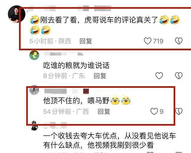 315晚会后网红车评圈炸锅！猴哥虎哥八戒评论区沦陷，被曝过往黑史（组图） - 7