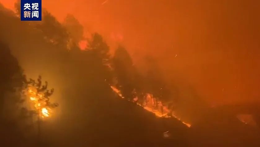 四川甘孜森林大火，火势汹汹，浓烟滚滚遮蔽现场（视频/组图） - 1