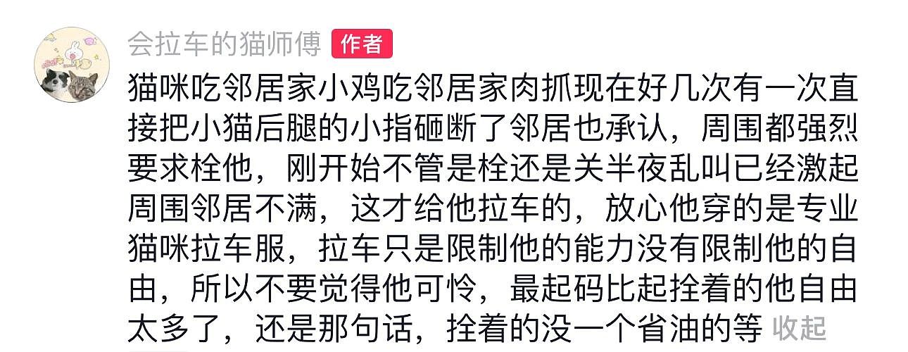 【宠物】网友看到狸花猫被拴着拉车：虐猫！知道真相后，网友：背负的命案吓人（组图） - 5