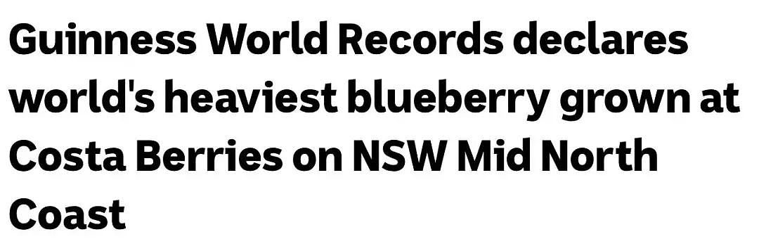 太强了！澳洲巨型蓝莓打破世界纪录，是普通蓝莓6倍，两年内将普及全澳（组图） - 1