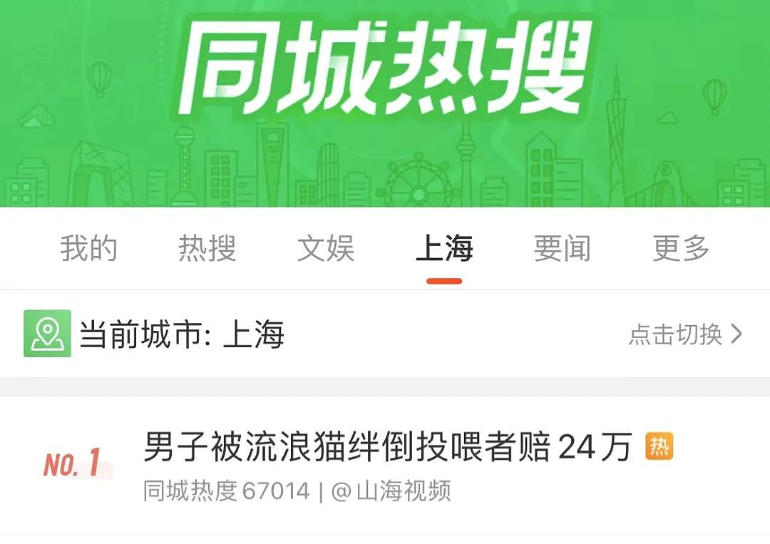 热搜第一！上海一男子被流浪猫绊倒，投喂者被判赔24万，网友吵翻（组图） - 2