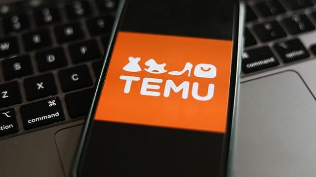 来自中国的电商平台Temu如何颠覆美国的网购世界（组图） - 4